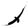 Robinson Crusoe Deep Patagonia