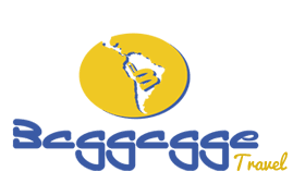Baggagge Travel