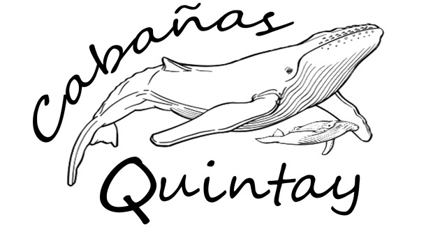 Cabañas Quintay