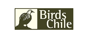 BirdsChile