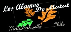 Cabañas Alamos de Malal