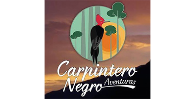 Carpintero Negro Aventuras