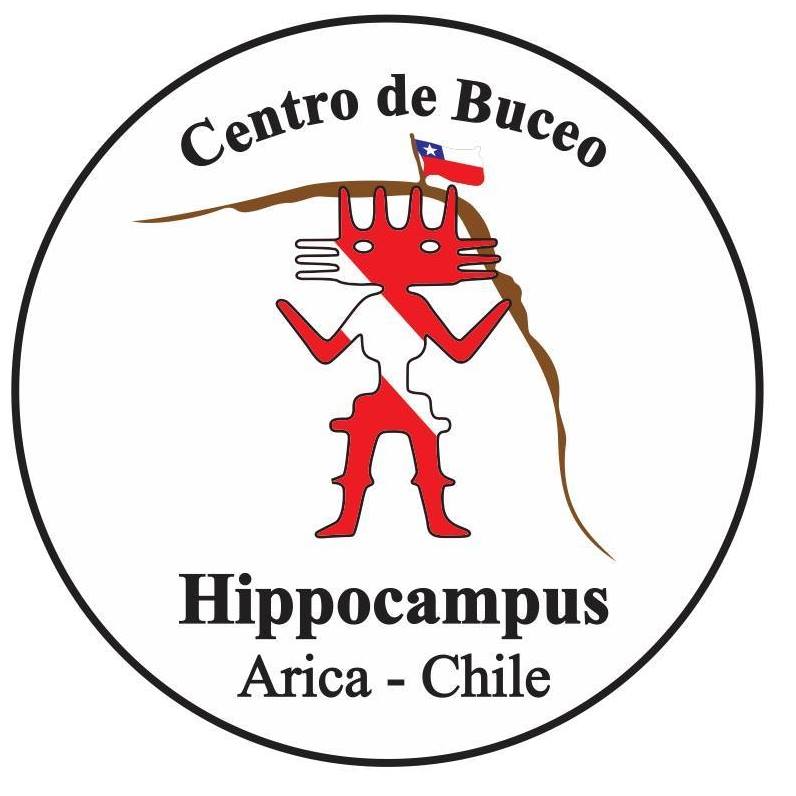 Centro de Buceo Hippocampus