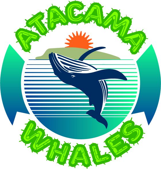 Atacama Whales