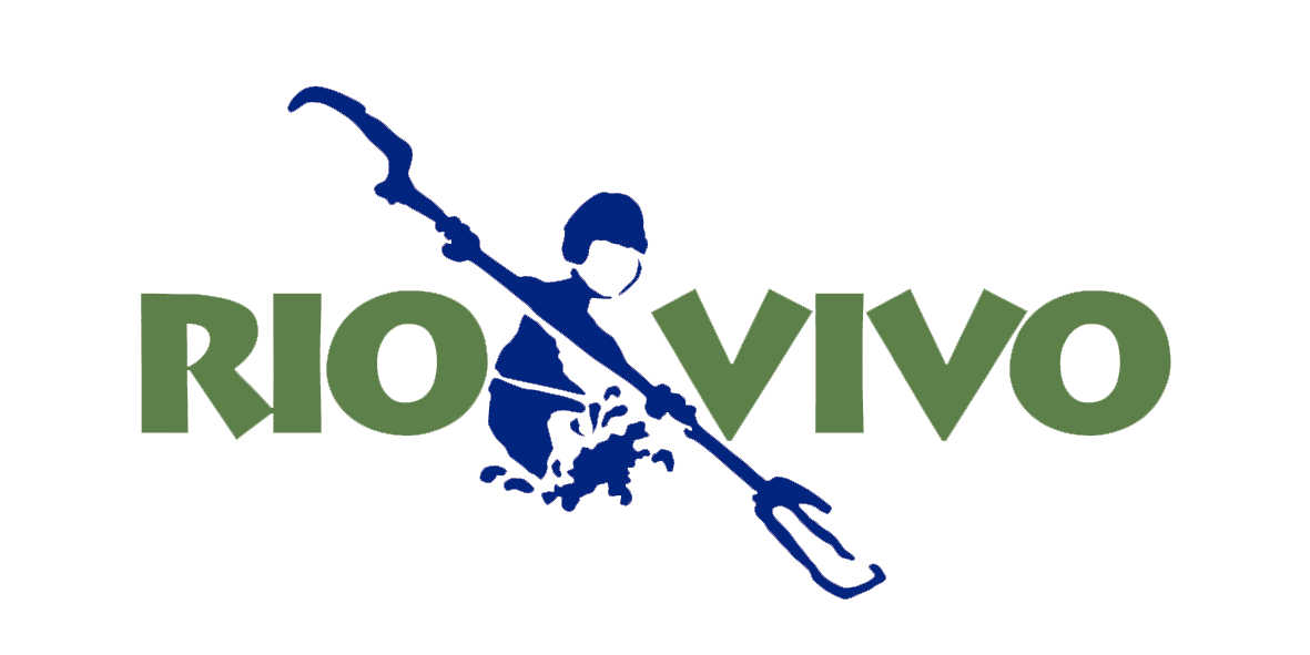 RIO VIVO 