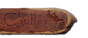 Hotel Los Caulles