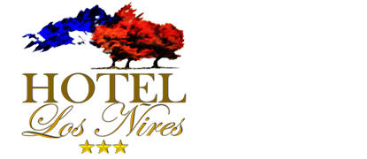 Hotel Los Ñires