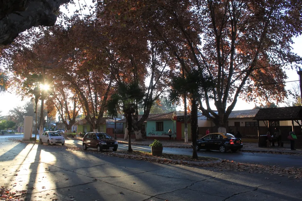 Isla de Maipo