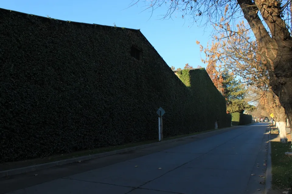 Isla de Maipo
