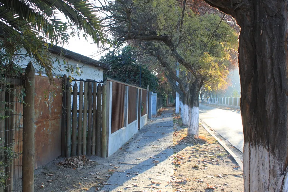 Isla de Maipo