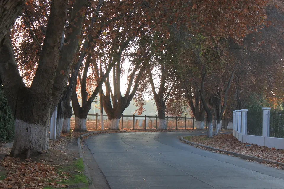 Isla de Maipo