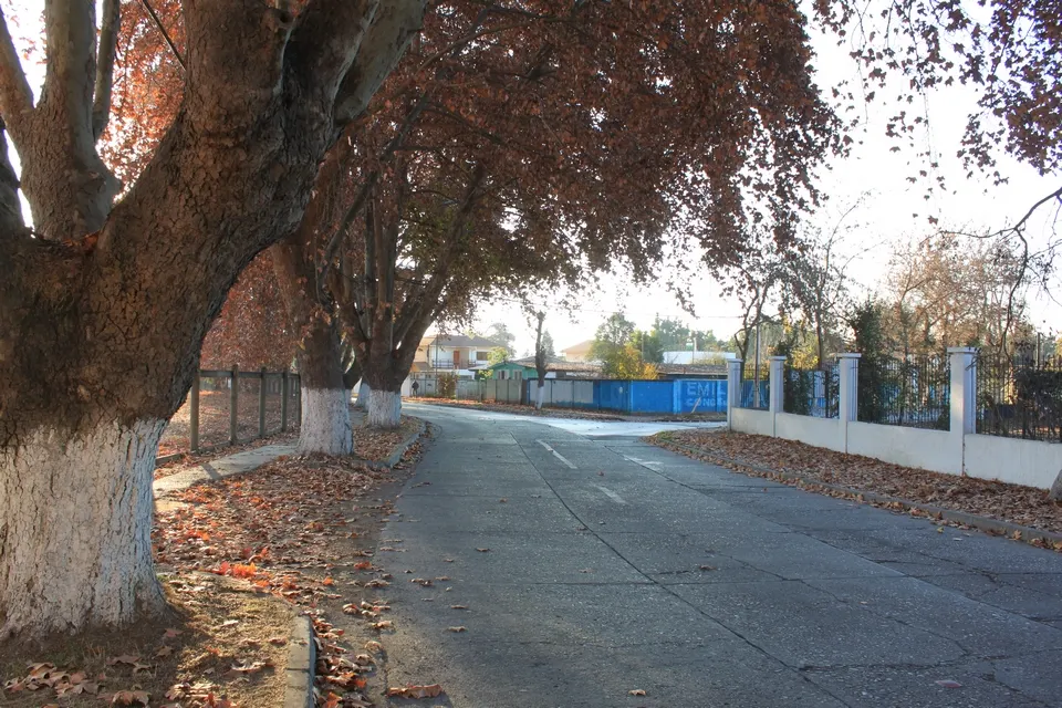Isla de Maipo