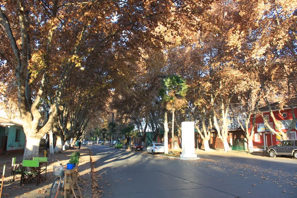 Isla de Maipo