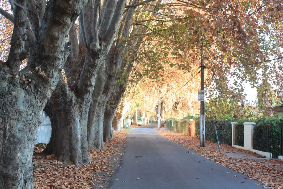 Isla de Maipo