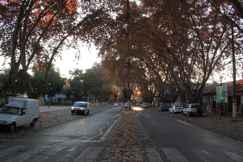 Isla de Maipo