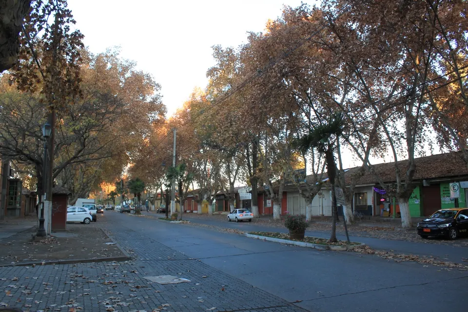 Isla de Maipo