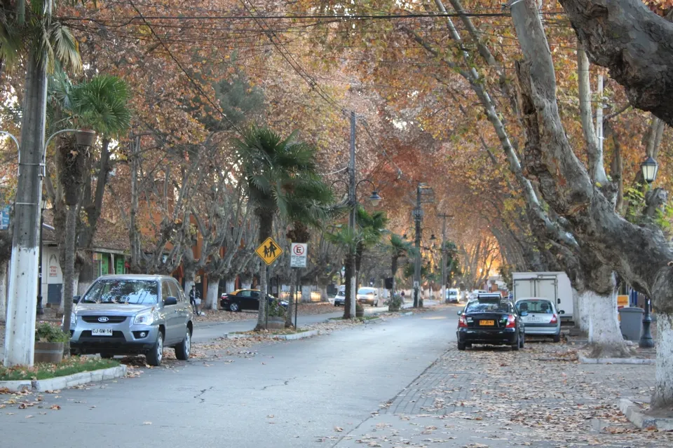 Isla de Maipo
