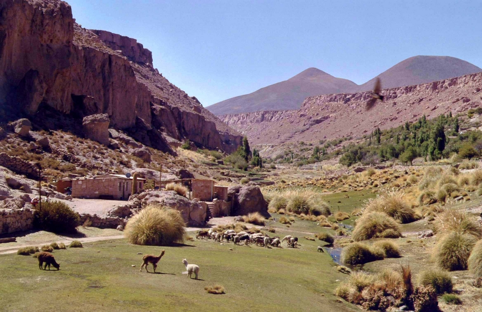 Caspana