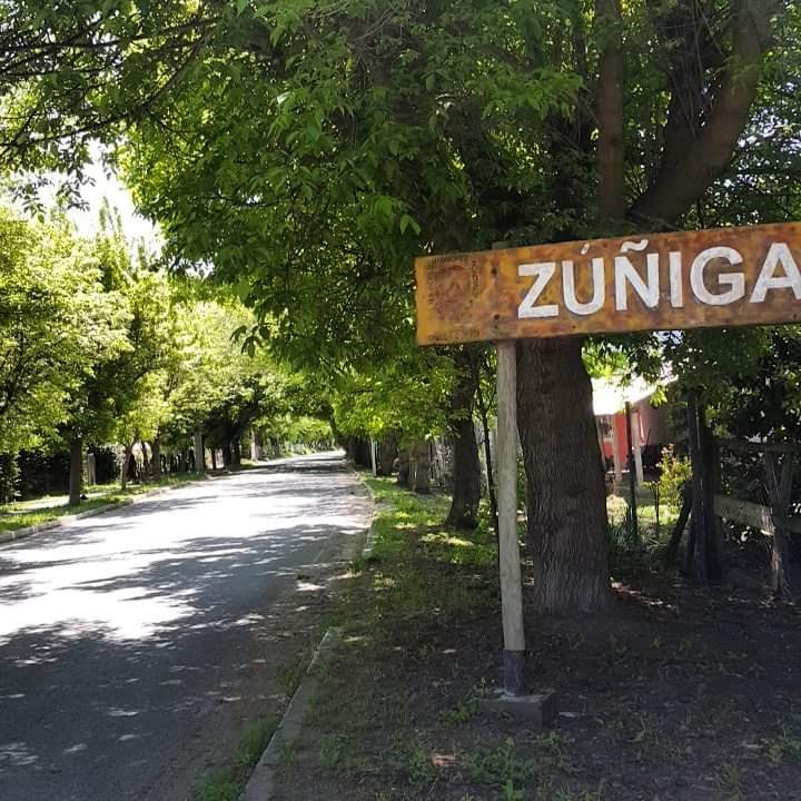 Zuñiga