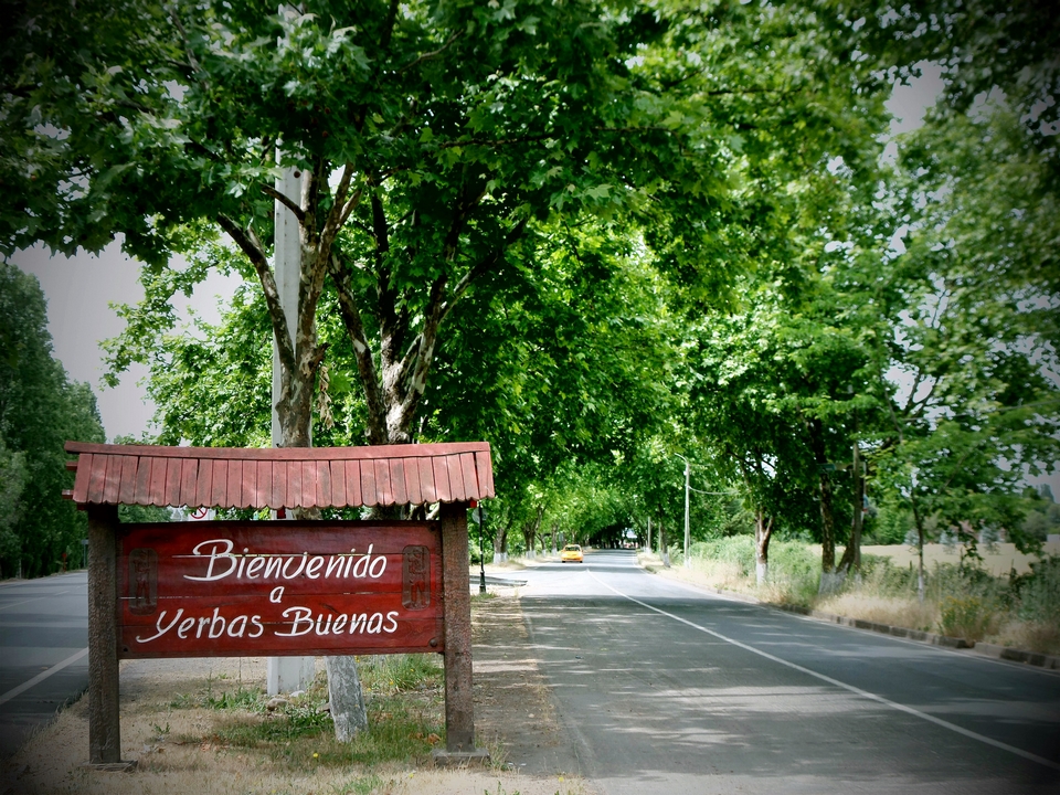 Yerbas Buenas