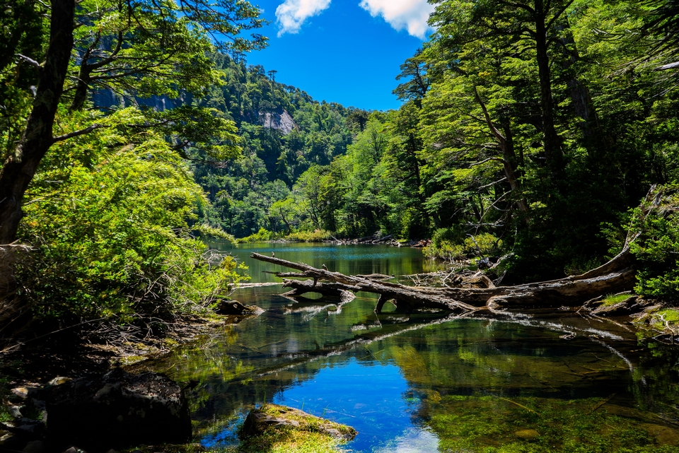 Parque Nacional Huerquehue