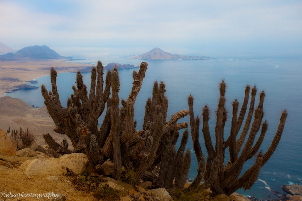 Parque Nacional Pan De Azucar