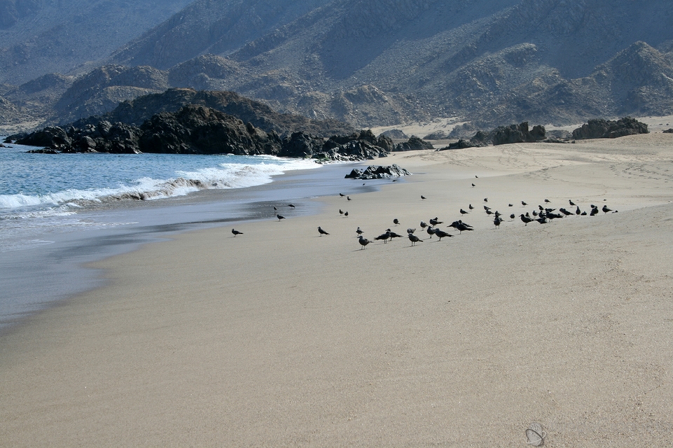 Parque Nacional Pan De Azucar