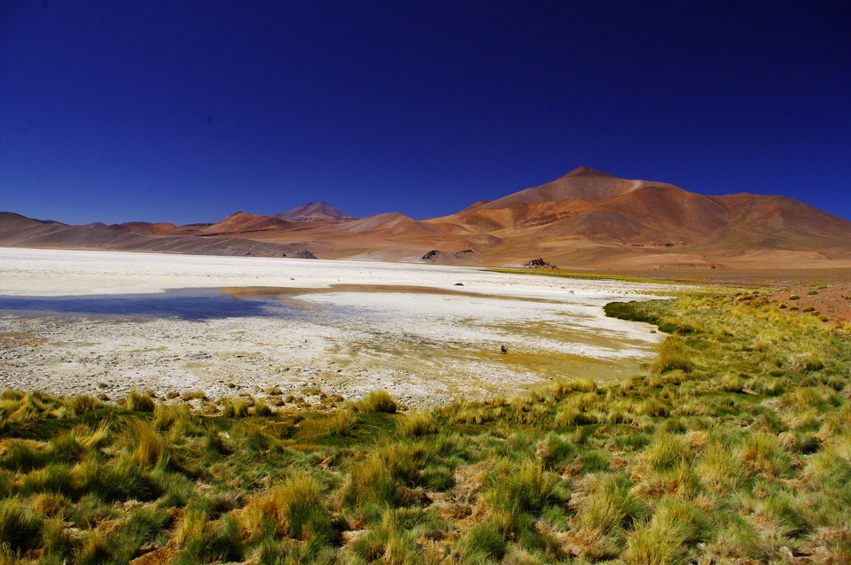 Parque Nevado De Tres Cruces