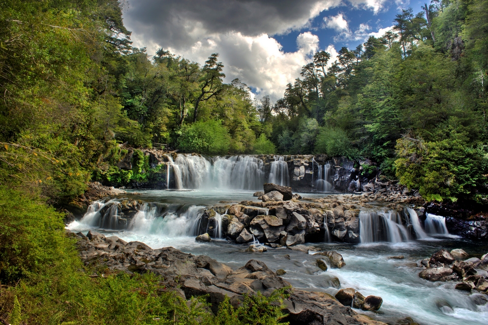 Reserva Nacional Mocho Choshuenco Y Reserva H