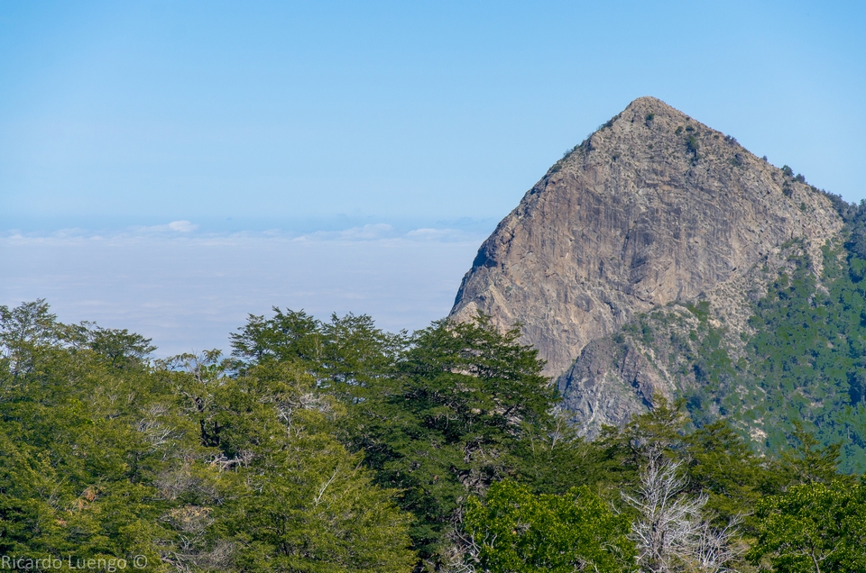 Reserva Nacional Altos De Lircay