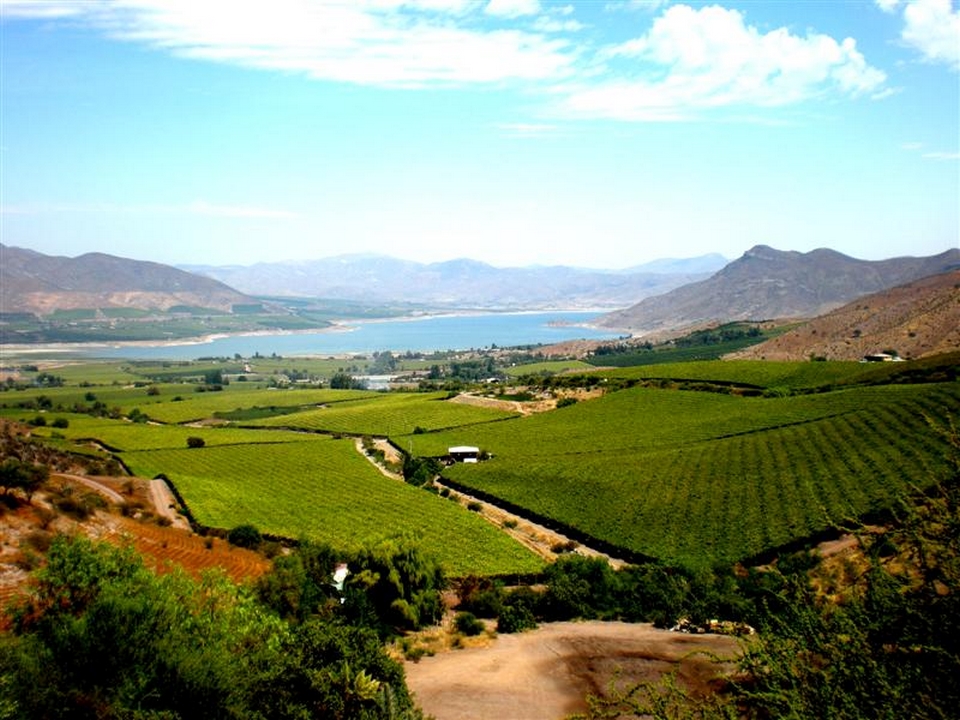 El Palqui