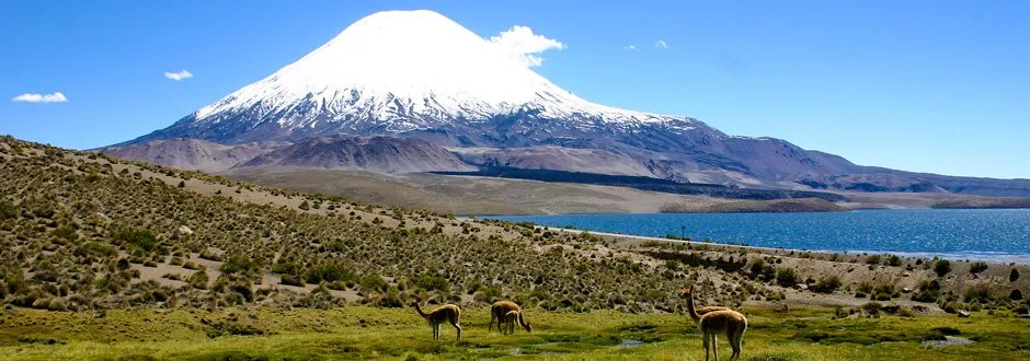 Region de Arica y Parinacota
