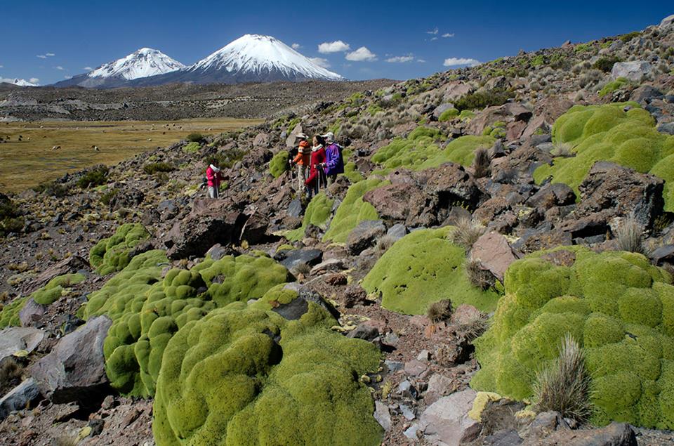 Arica Y Parinacota