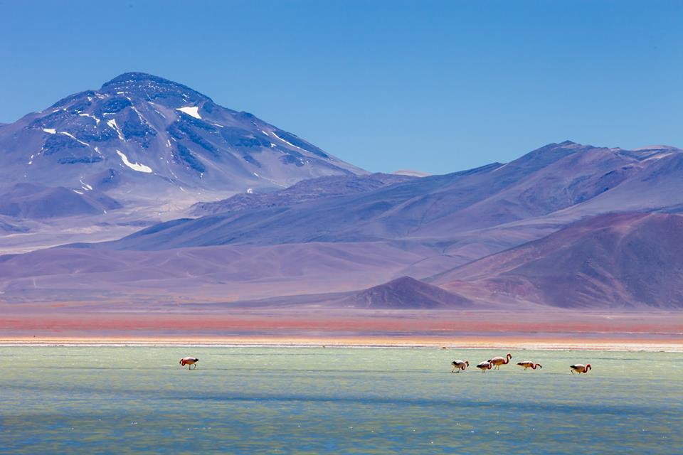 Atacama