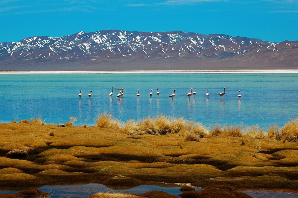 Atacama