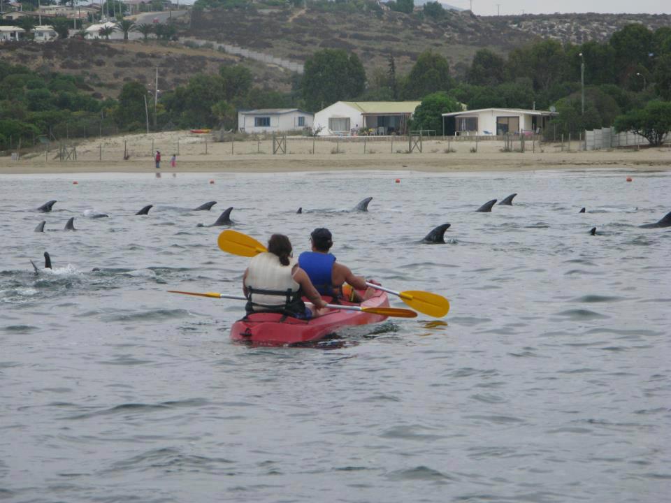 Coquimbo