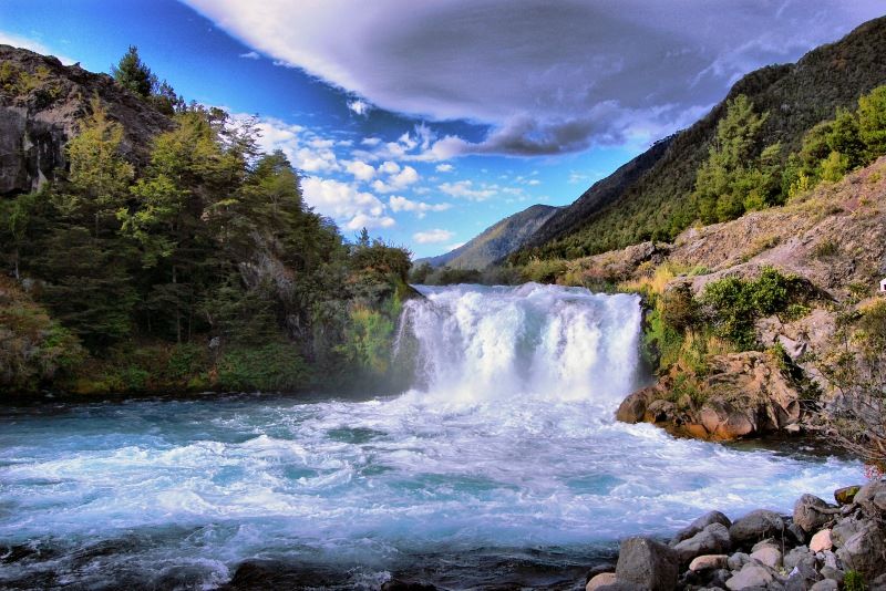 Araucania
