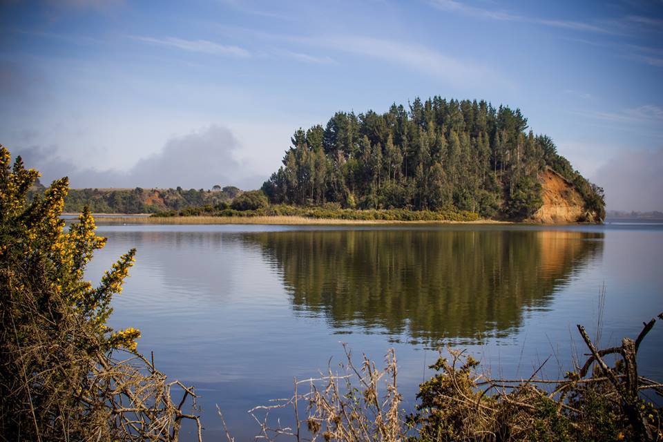 Araucania