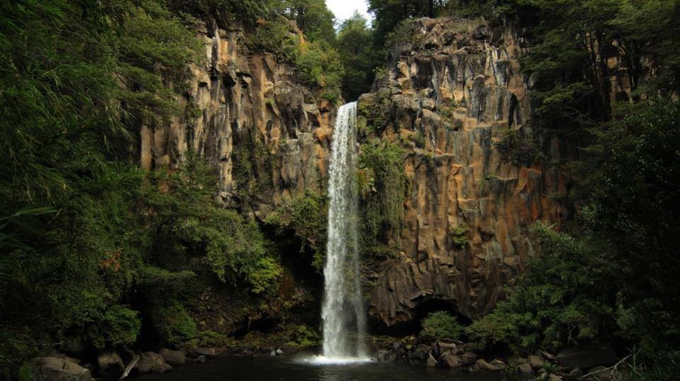 Araucania