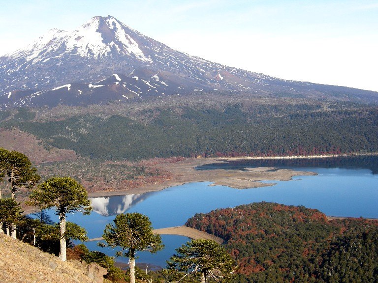 Araucania